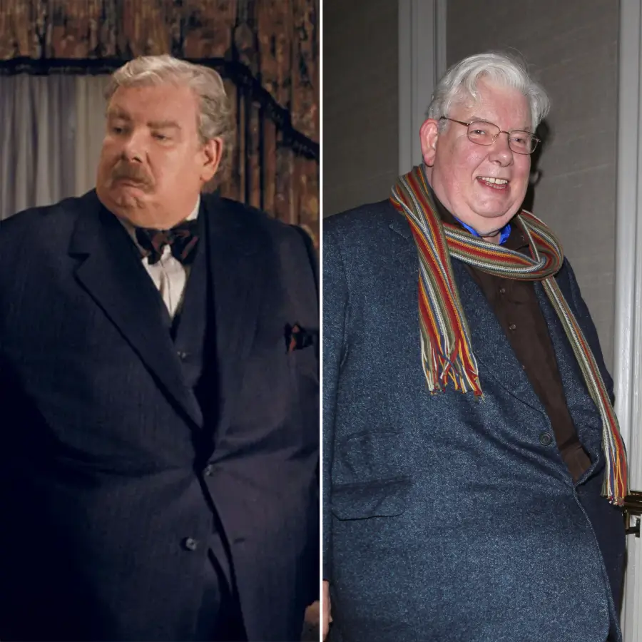 Harry Potter Stars Where Are They Now