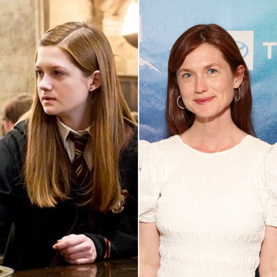 Harry Potter Stars Where Are They Now