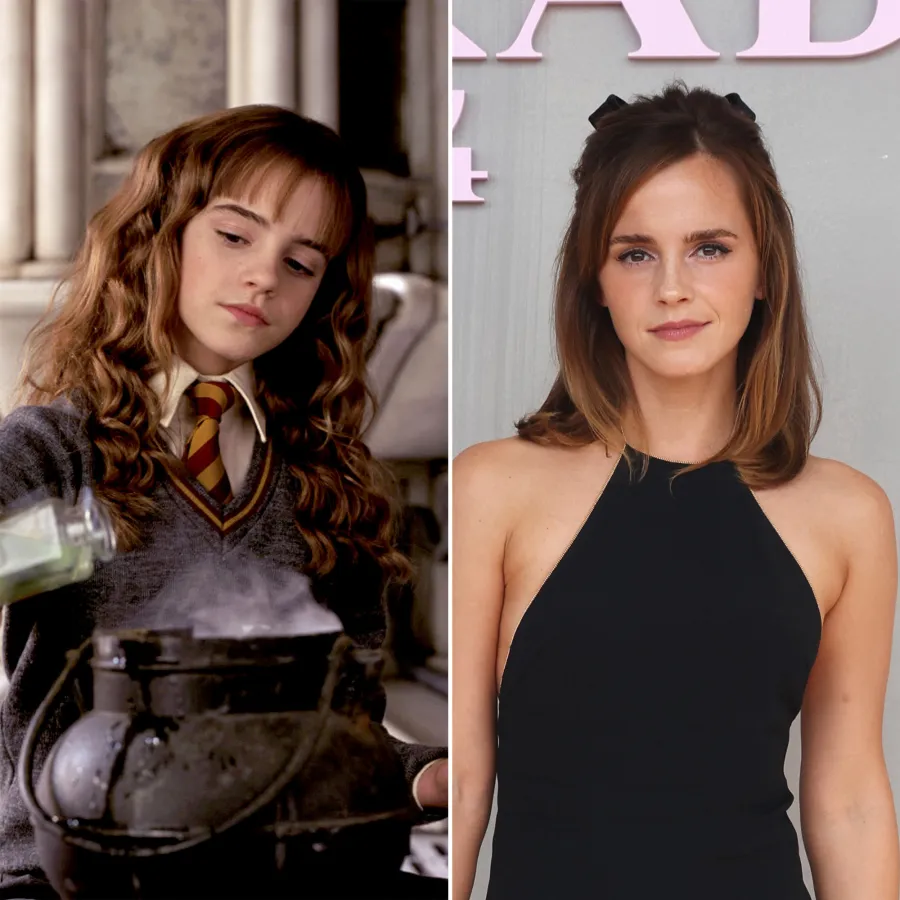 Harry Potter Stars Where Are They Now