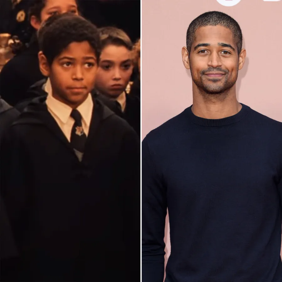 Harry Potter Stars Where Are They Now