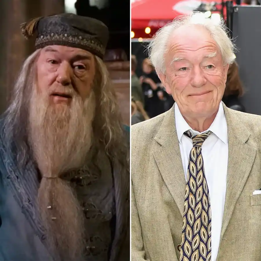 Harry Potter Stars Where Are They Now