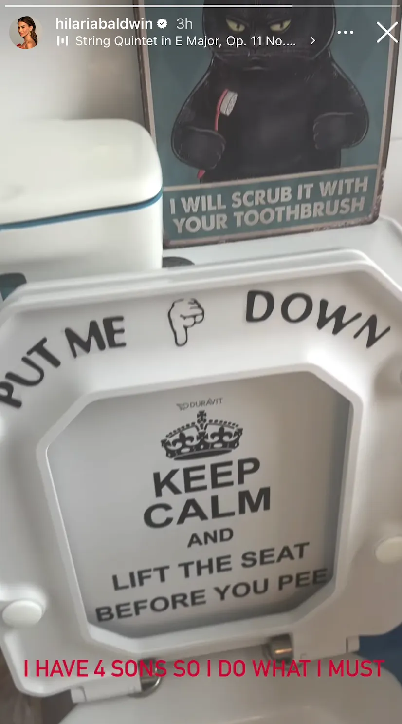 Hilaria Baldwin Shares Hilarious Toilet Seat She Put in Her 4 Sons Bathroom