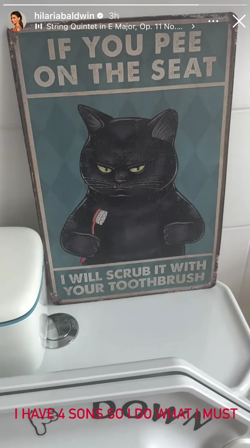 Hilaria Baldwin Shares Hilarious Toilet Seat She Put in Her 4 Sons Bathroom