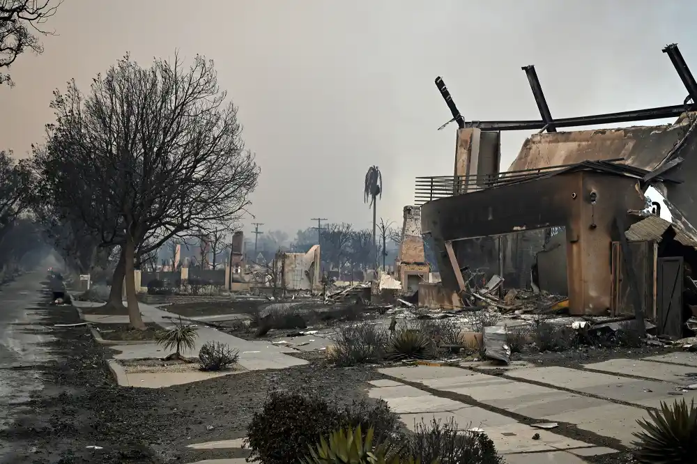 How to Help Those Affected by Los Angeles Wildfires