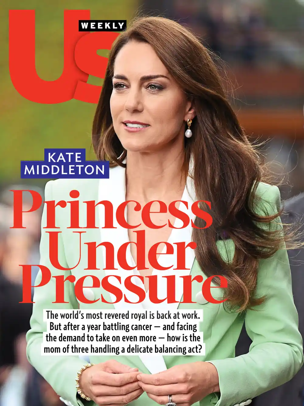 Kate Middleton 2506 Luxury Handbag Shopping Cover No Chip