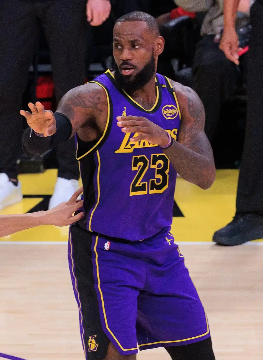 LeBron James Has Adorable Moment With Young Fan After She Breaks Down in Tears Courtside 614