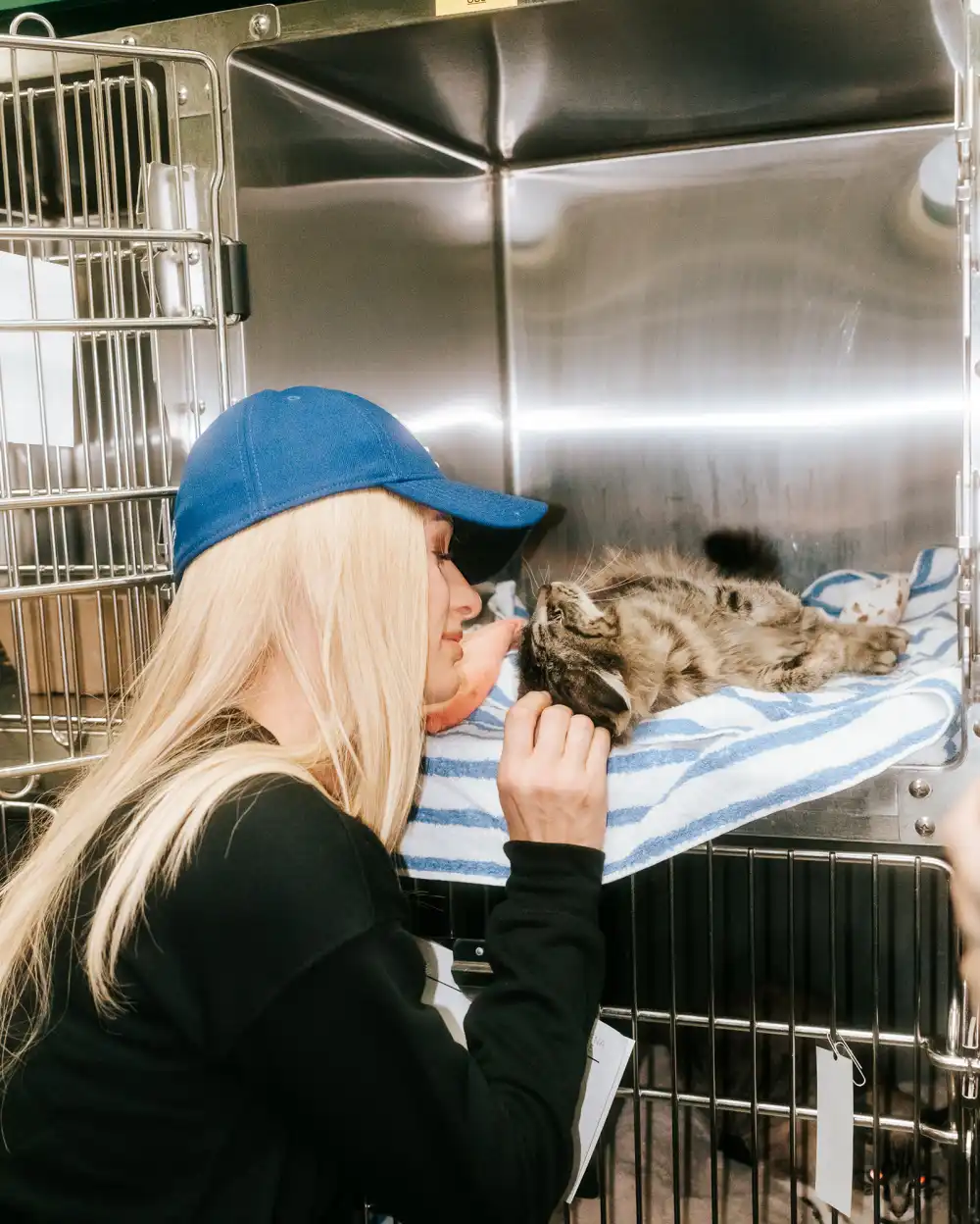 Paris Hilton Fosters Dog Surrendered During Los Angeles Wildfires