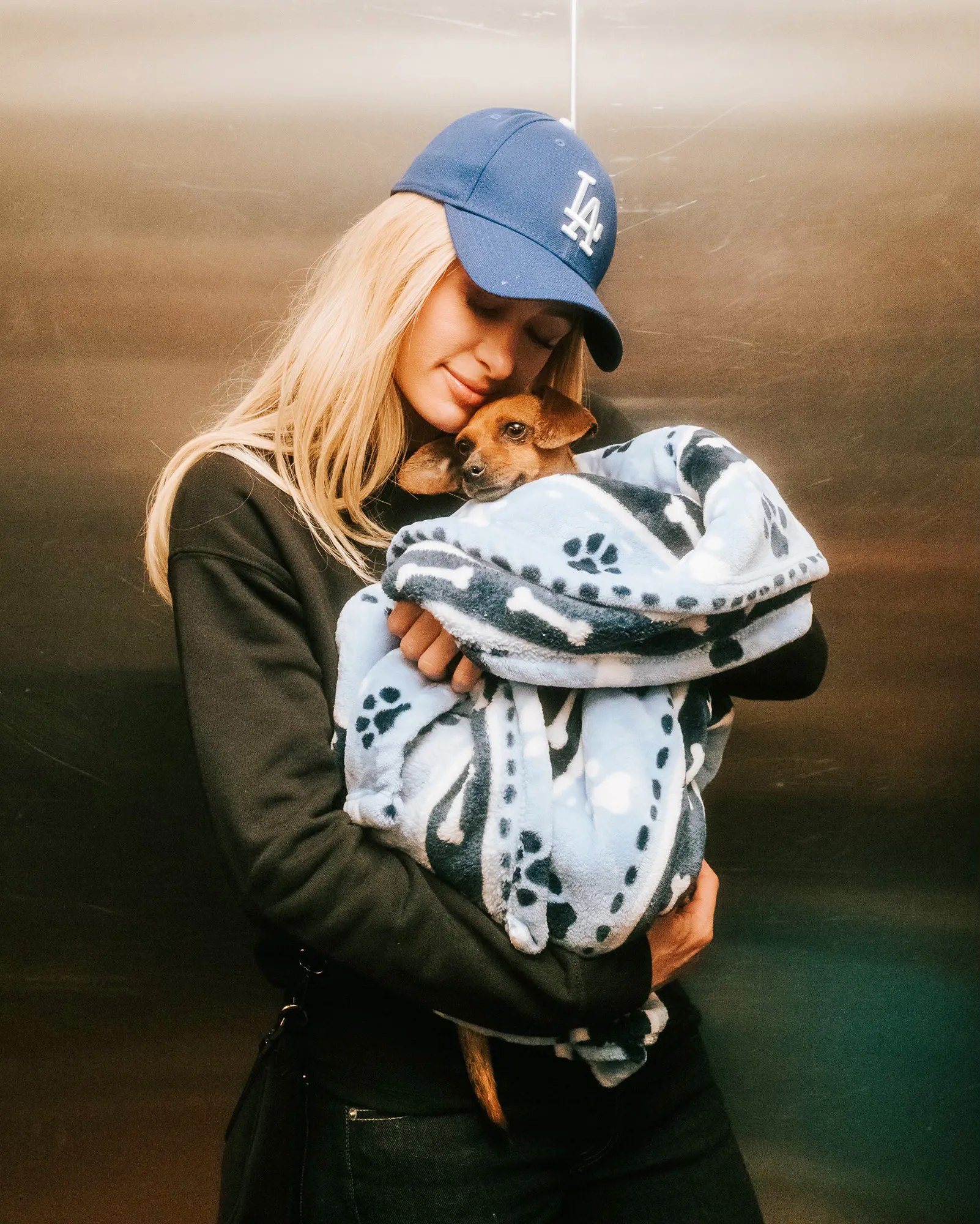 Paris Hilton Fosters Dog Surrendered During Los Angeles Wildfires