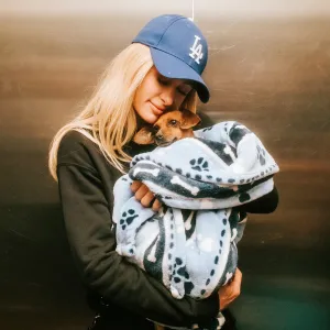Paris Hilton Fosters Dog Surrendered During Los Angeles Wildfires