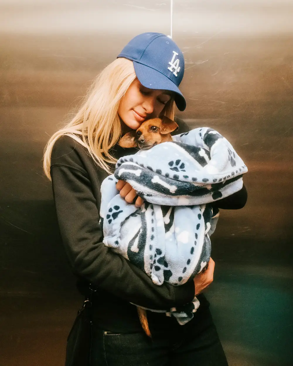 Paris Hilton Fosters Dog Surrendered During Los Angeles Wildfires