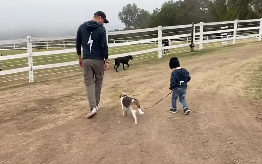 Prince Harry and Meghan Markles Son Archies Photo Album Through the Years