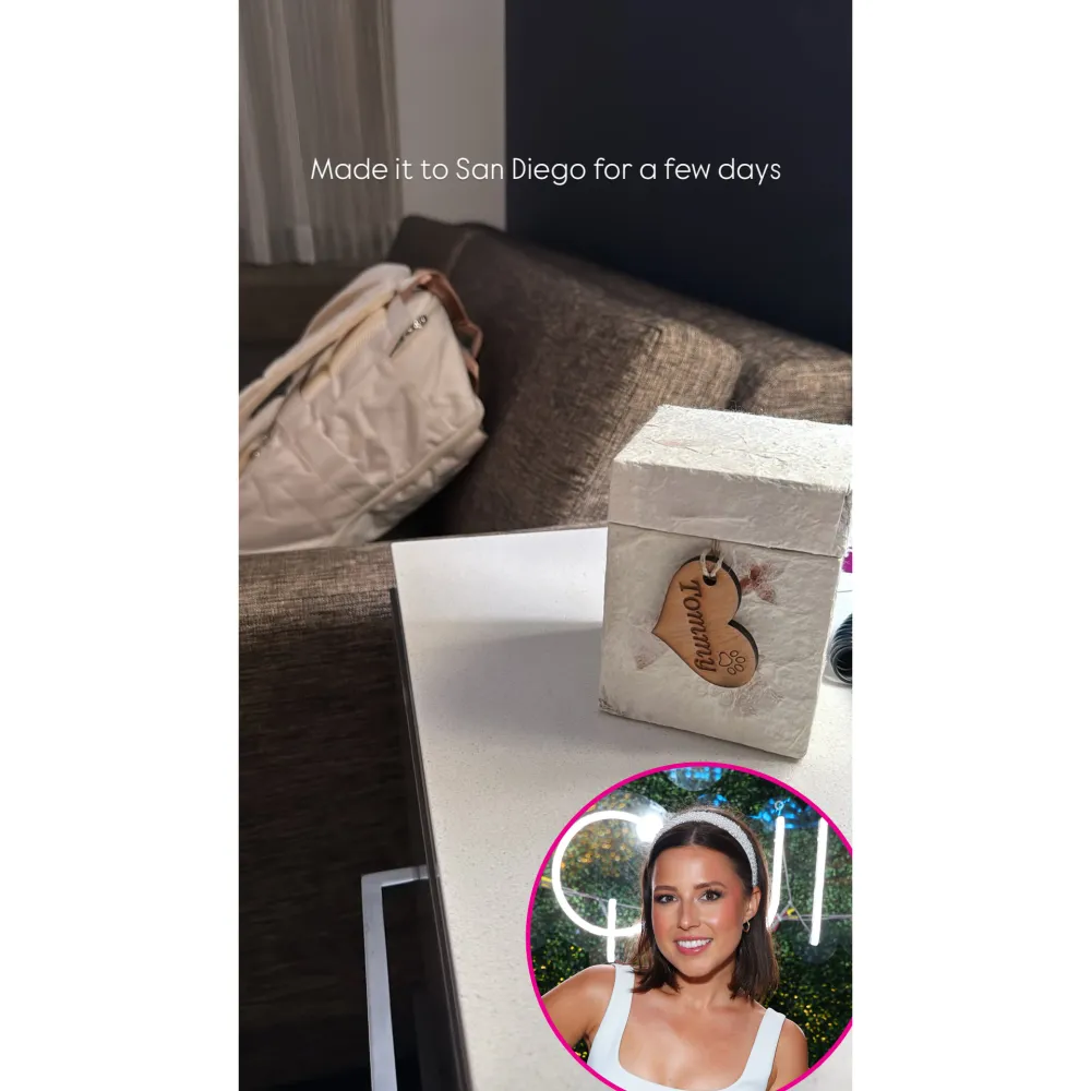 Reality TV Stars Who Evacuated Los Angeles Amid Wildfires Katie Thurston