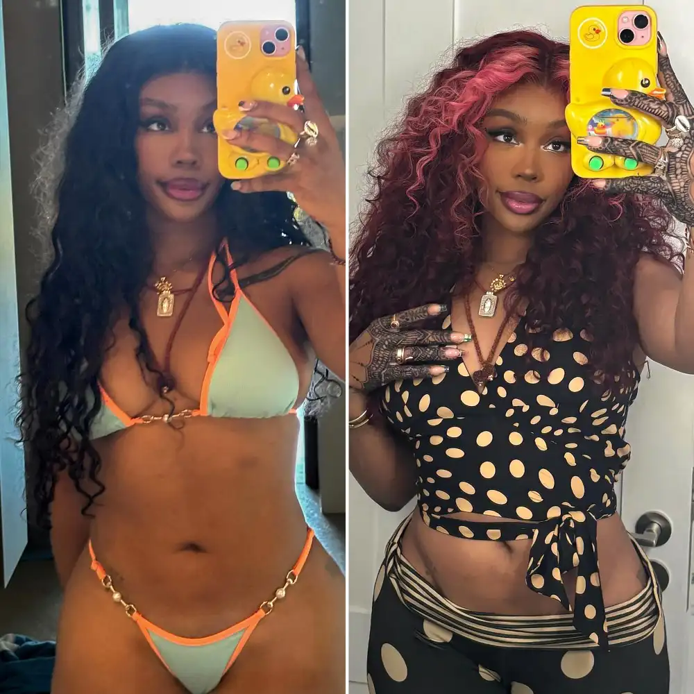 SZA Shows Off Her New Pink Highlights