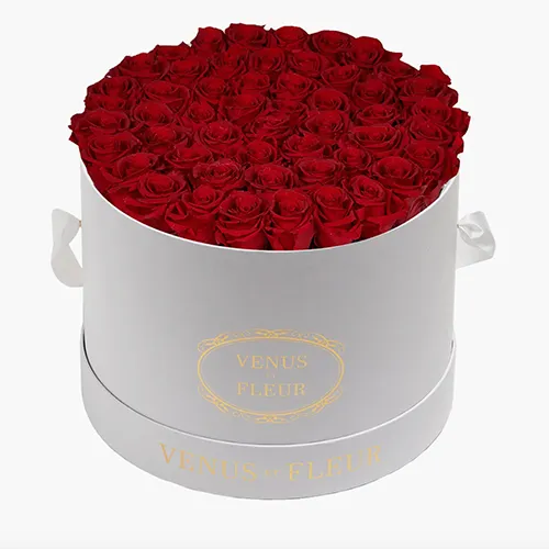 Venus ET Fleur Classic Large Eternity Roses