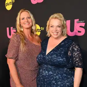 Sister Wives Recap Janelle Doesn t Agree With Christine s Flippant Perspective on Sex After Divorce 499