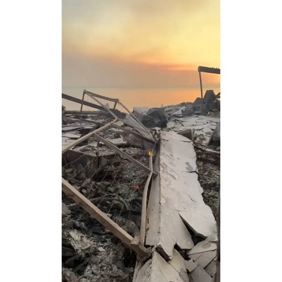 Stars Share Personal Photos of the Los Angeles Wildfires Paris Hilton