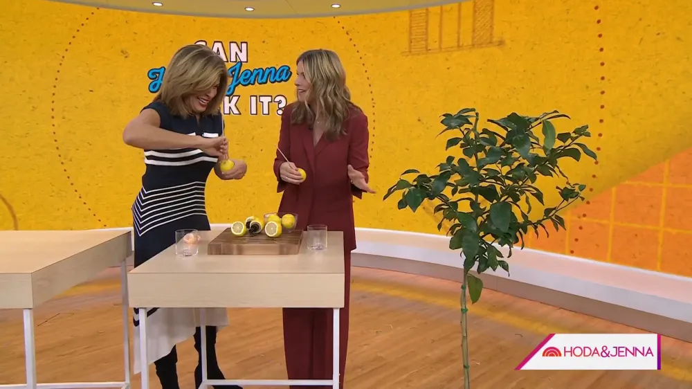 The Biggest Moments From Hoda Kotb Final Week A Sweet and Sour Gift 1