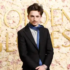 Timothee Chalamet Reveals He Gained 20 Pounds to Play Bob Dylan 267