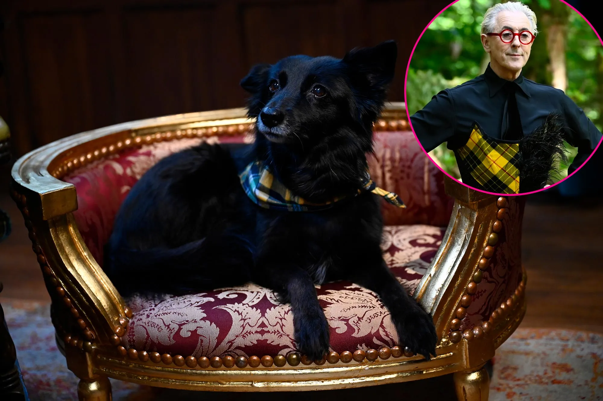 Traitors Host Alan Cummings Dog Steals Style Spotlight in Season 3