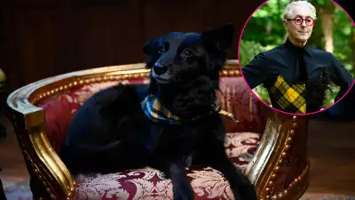 Traitors Host Alan Cummings Dog Steals Style Spotlight in Season 3