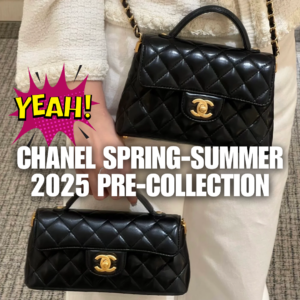 Chanel Spring-Summer 2025 Pre-Collection Bags