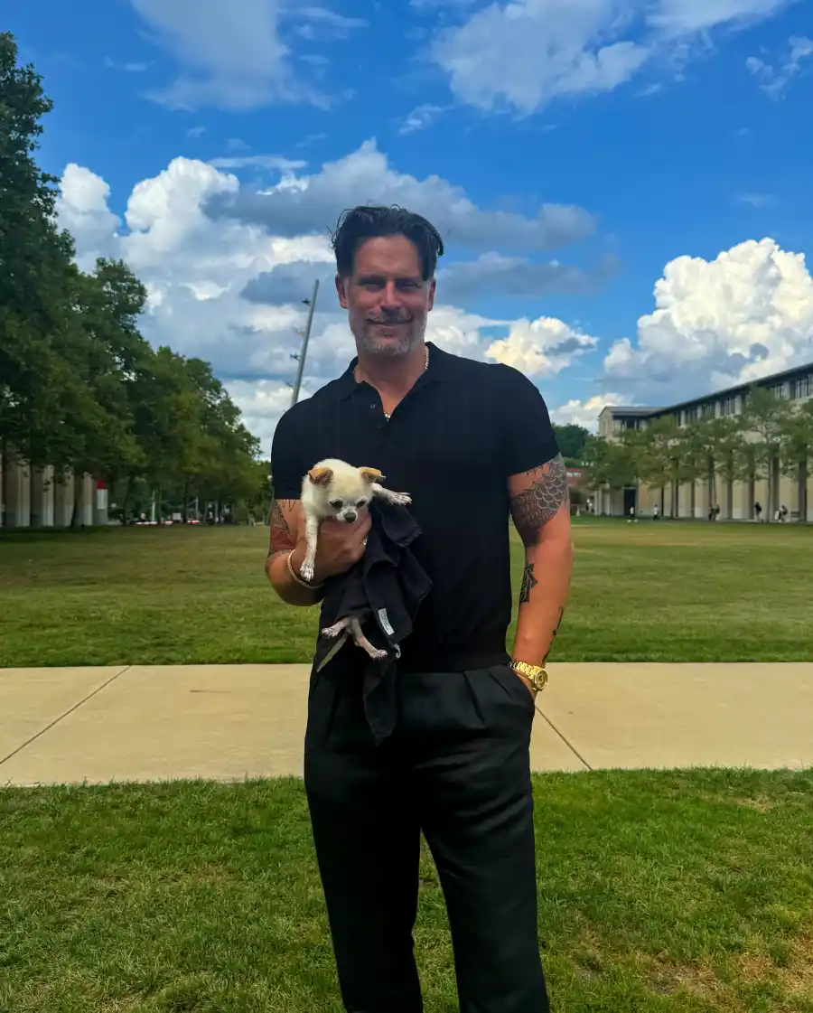 Breaking Down Hollywoods Most Pampered Pooches