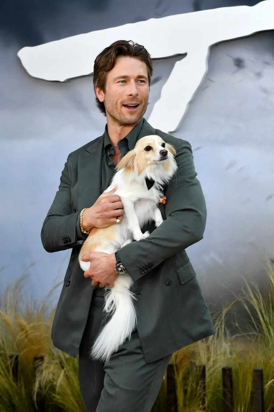 Breaking Down Hollywoods Most Pampered Pooches