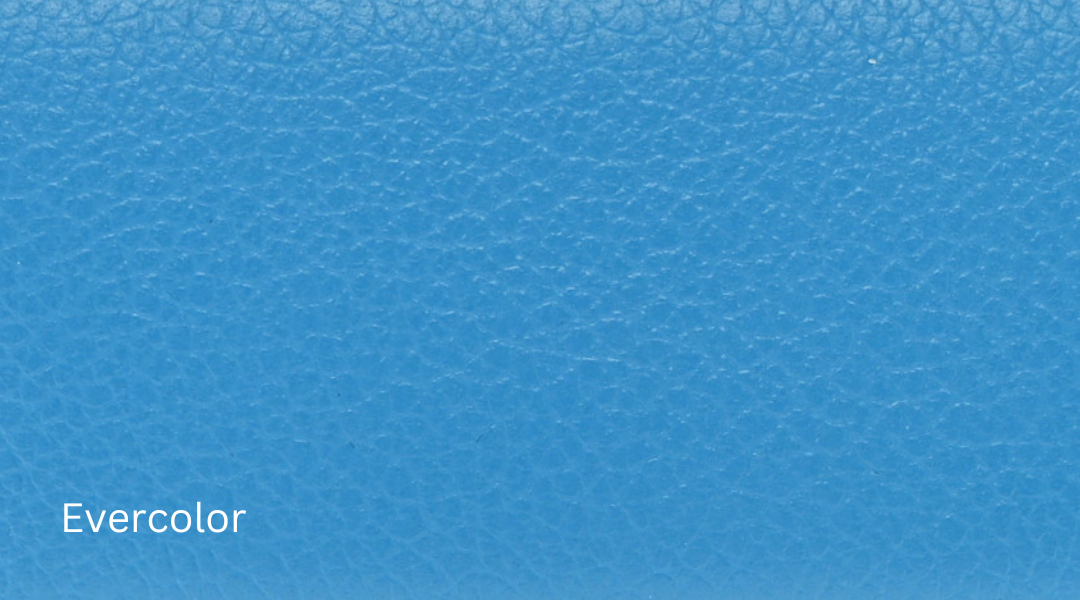 Evercolor hermes leather