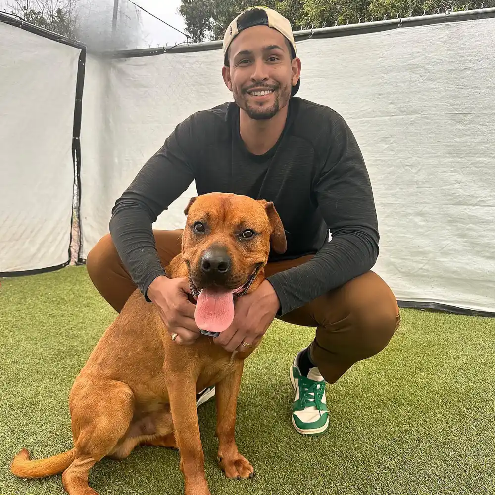 Bachelor Nation Rallies Around Katie Thurston Amid Her Breast Cancer Battle at 34