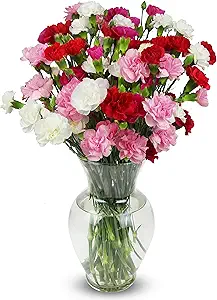 Benchmark-Bouquets-Carnations-Amazon