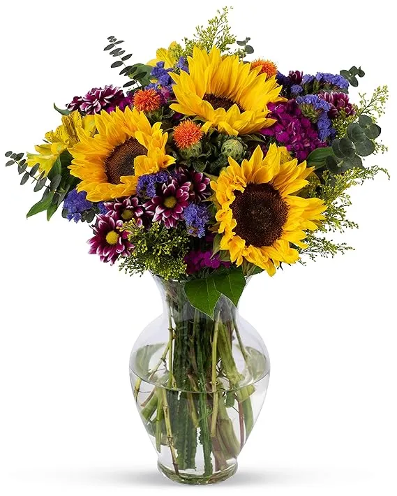 Benchmark-Bouquets-Sunflowers-Amazon
