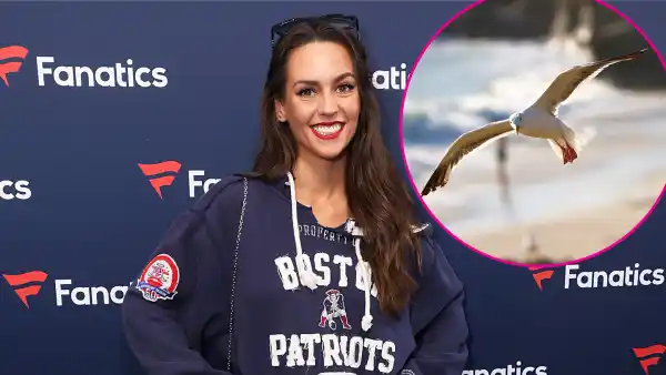 Bill Belichick Girlfriend Jordon Hudson Is Obsessed With Seagulls