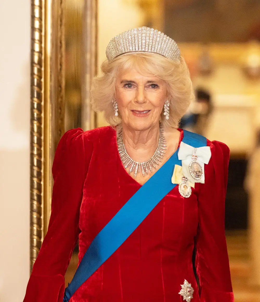 Camilla Once Hated The Idea of Being Queen