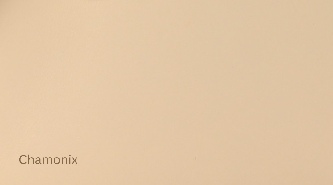 Chamonix hermes leather