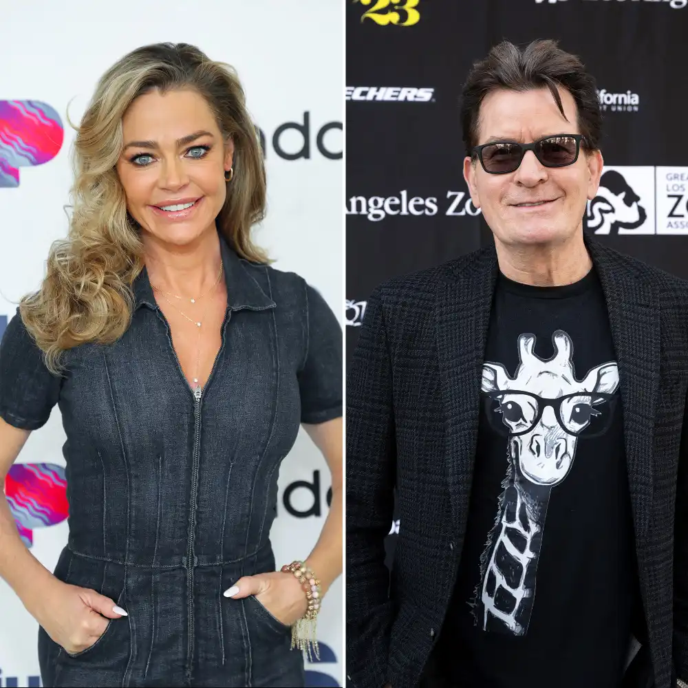 Denise Richards Makes Rare Comment About Charlie and Brooke Twin Sons
