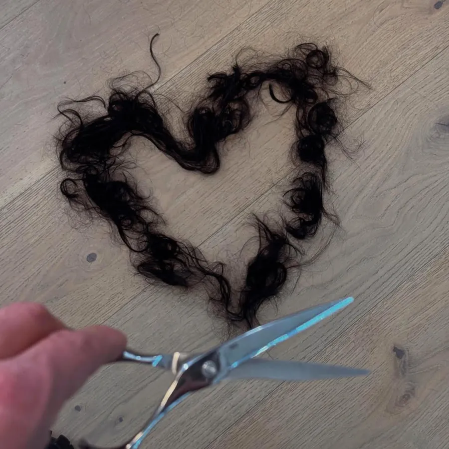 Every Celebrity Hair Transformation of 2025 From Emma Roberts to Lisa Rinna Kim Kardashian 939