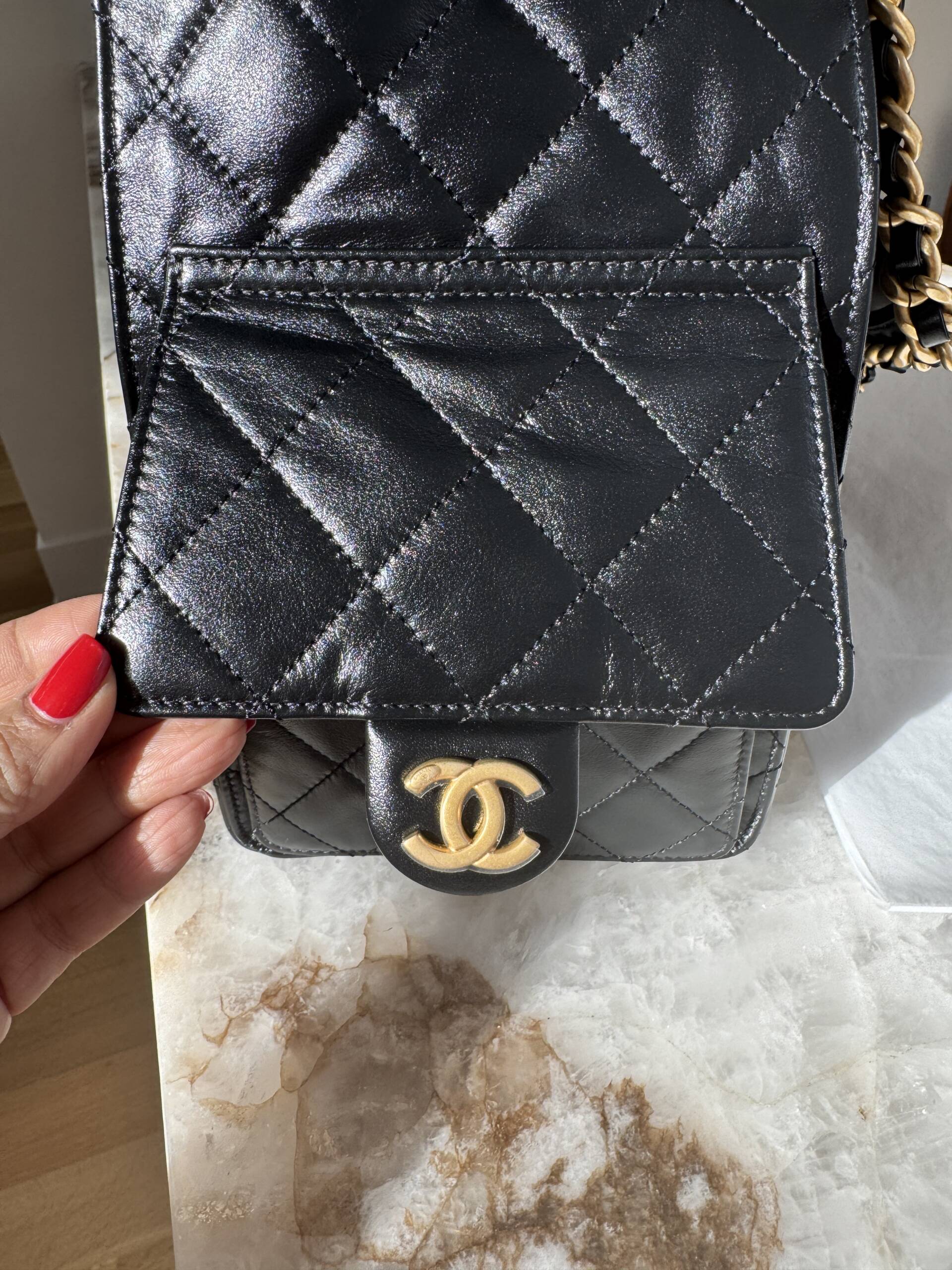 new Chanel 25 Hobo Bag