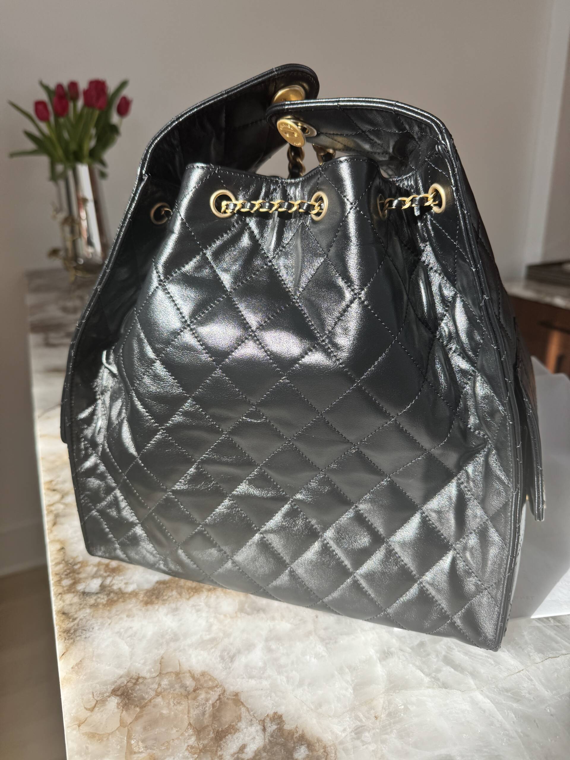 new Chanel 25 Hobo Bag