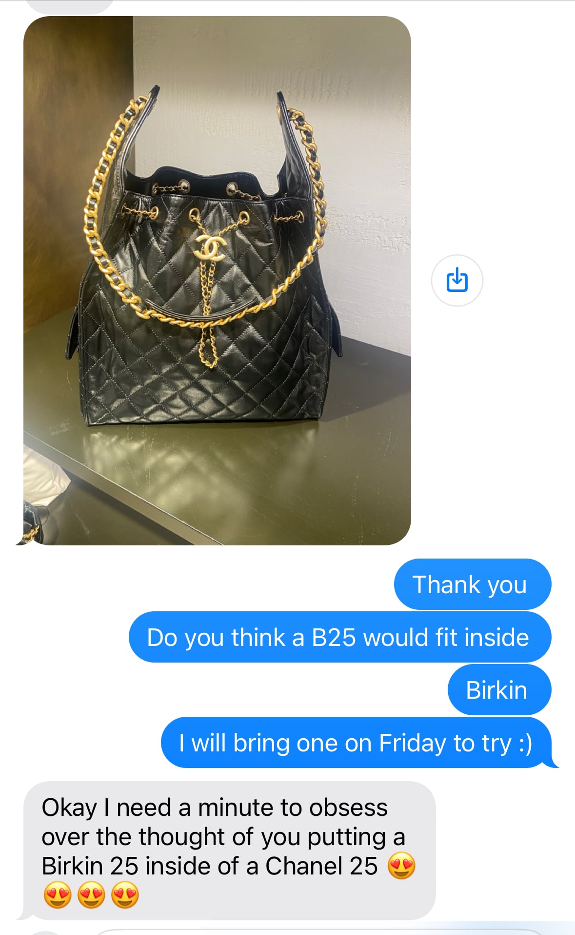 new Chanel 25 Hobo Bag