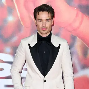 Liam Payne Songwriting Partner Said Comparison With Other 1D Members Was Very Difficult