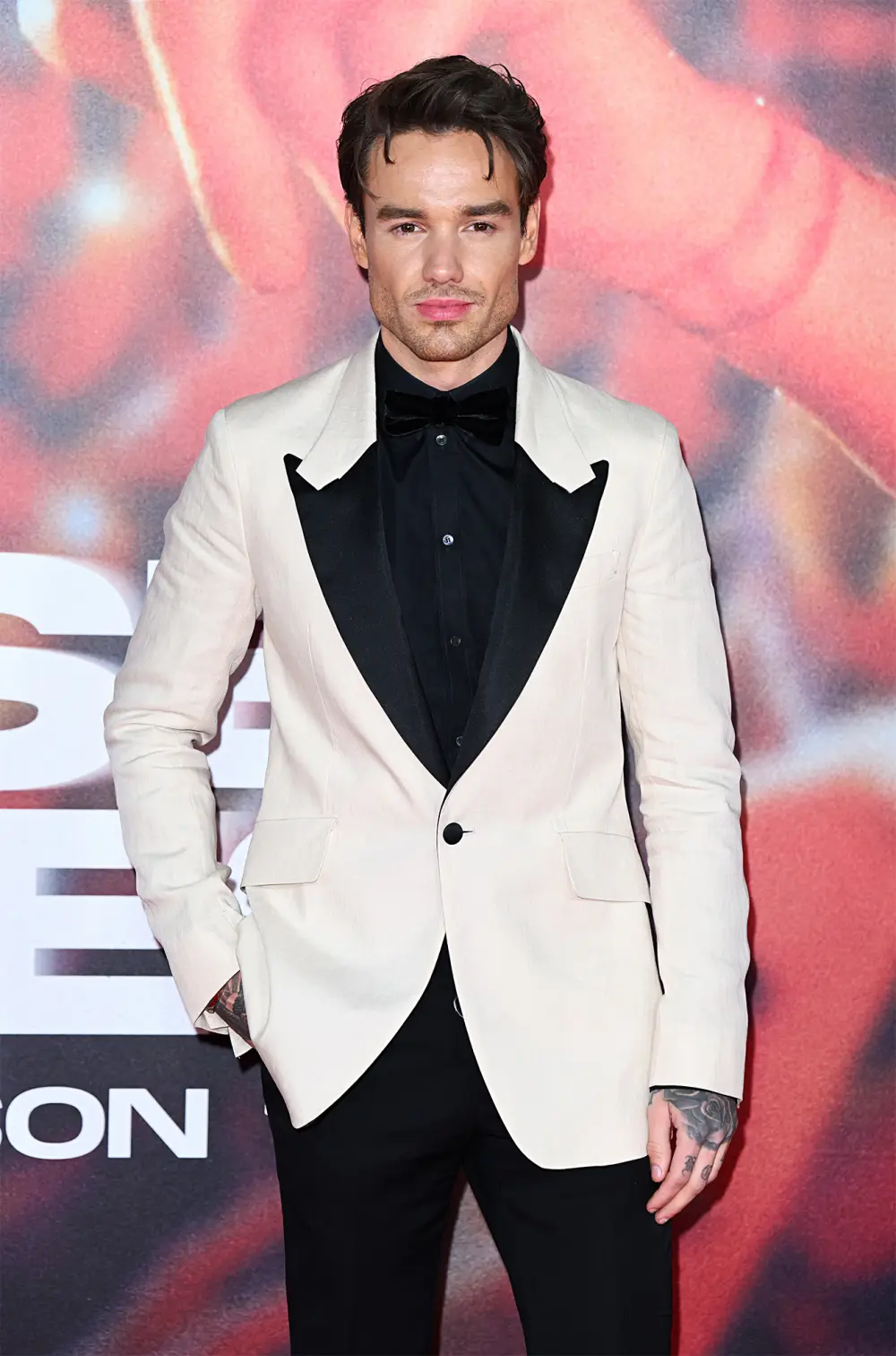 Liam Payne Songwriting Partner Said Comparison With Other 1D Members Was Very Difficult