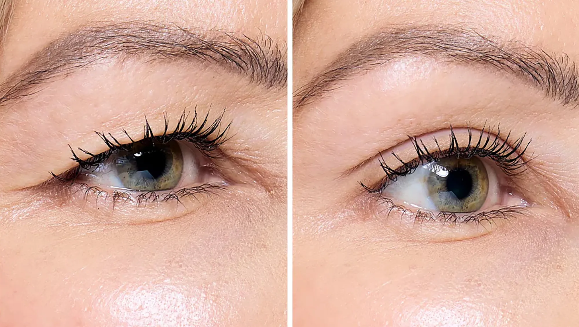 contours-rx-lids-by-design-assortment