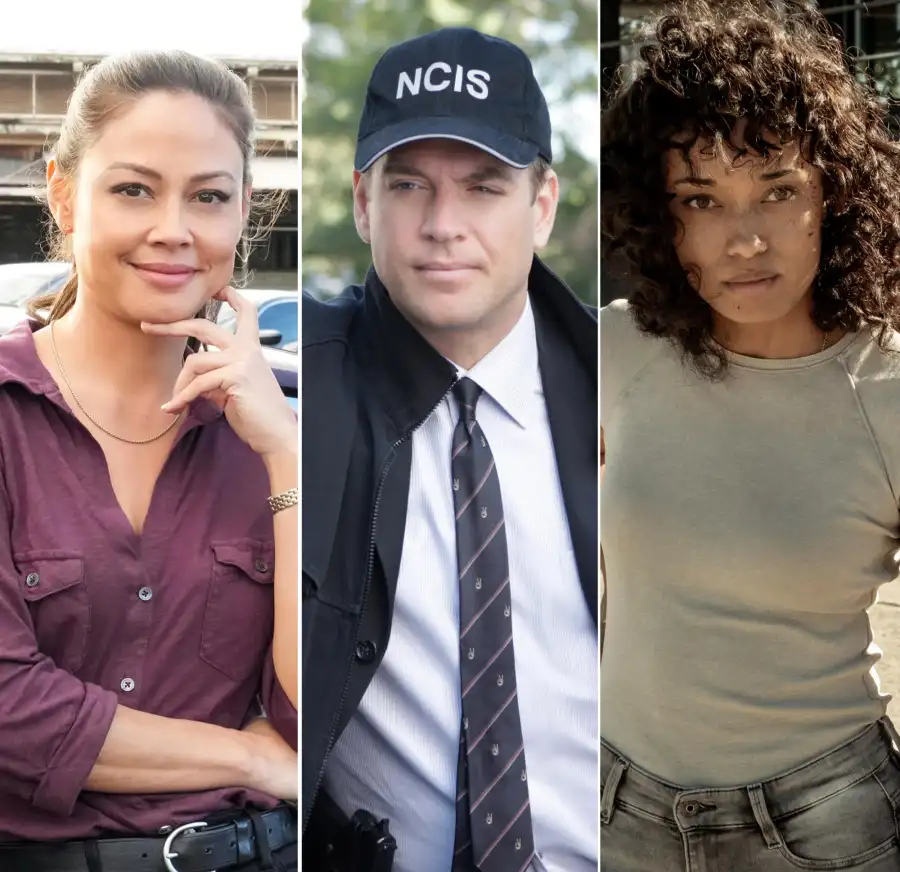 NCIS Universe Dating History Feature