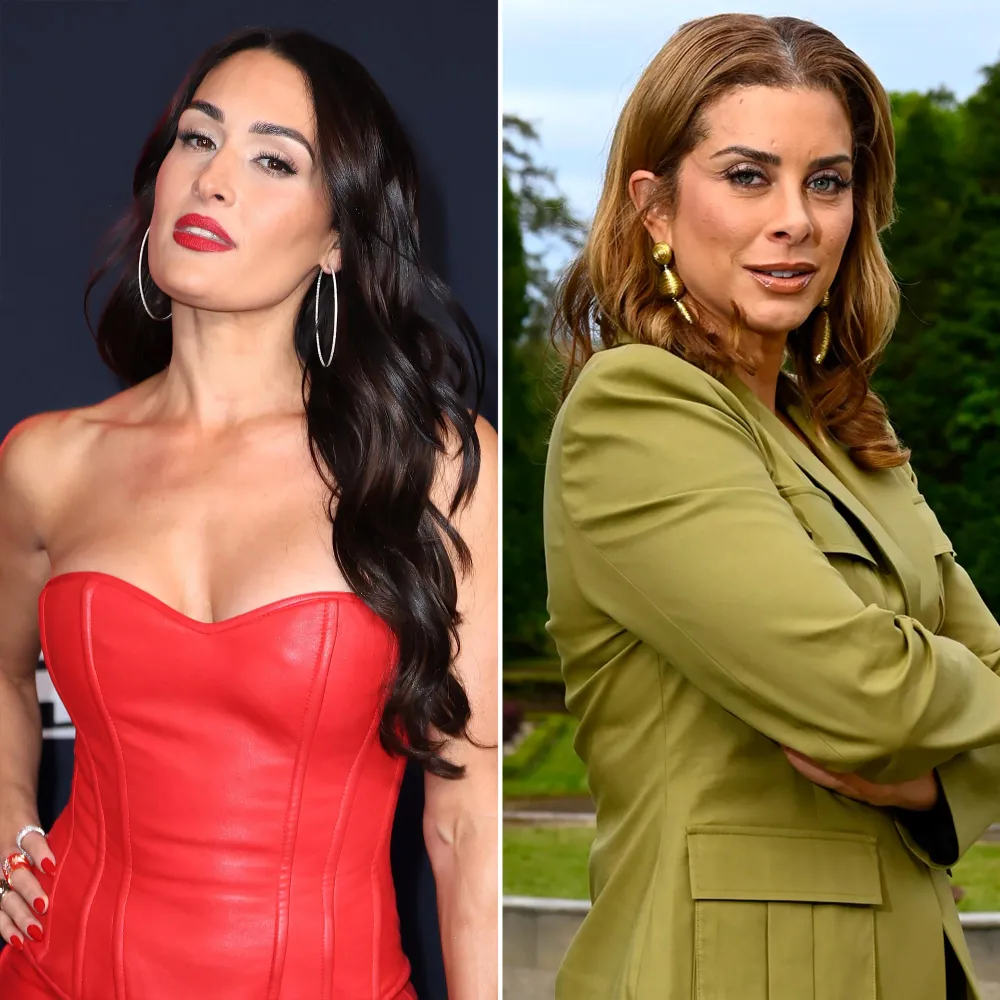 Nikki Bella Wants to Fight Traitors Costar Robyn Dixon Inside WWE Ring