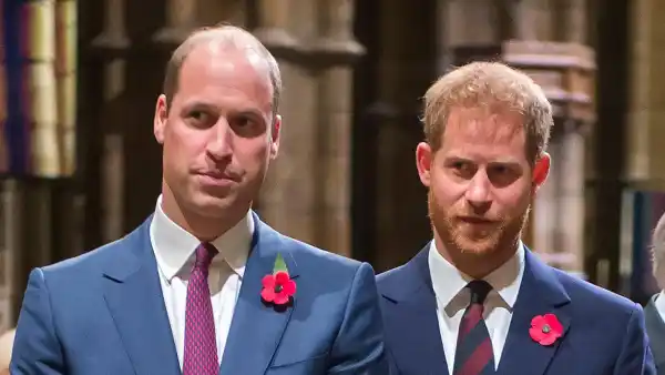 Prince Williams Former Aide Discusses Sad Rift With Prince Harry