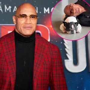 Promo Dwayne Johnson Announces Death of Beloved Dog Hobbs