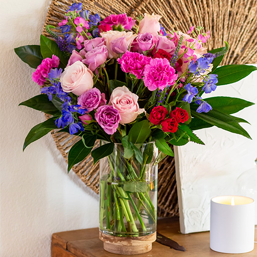 Bloomsy Premium Subscription