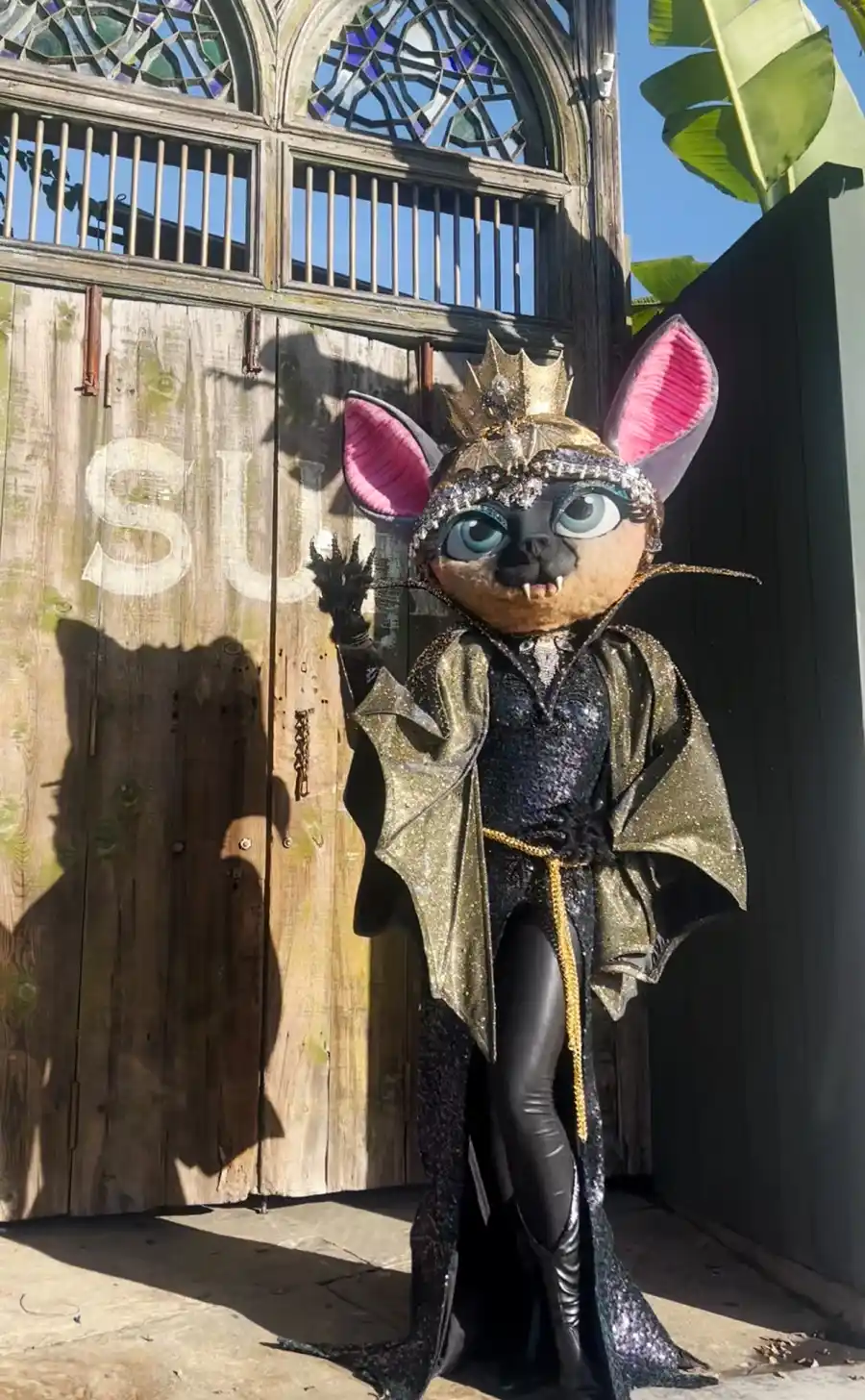 The Masked Singer s Lucky 13 Season Kicks Off With a Vanderpump Connection Sneak Peek Clues