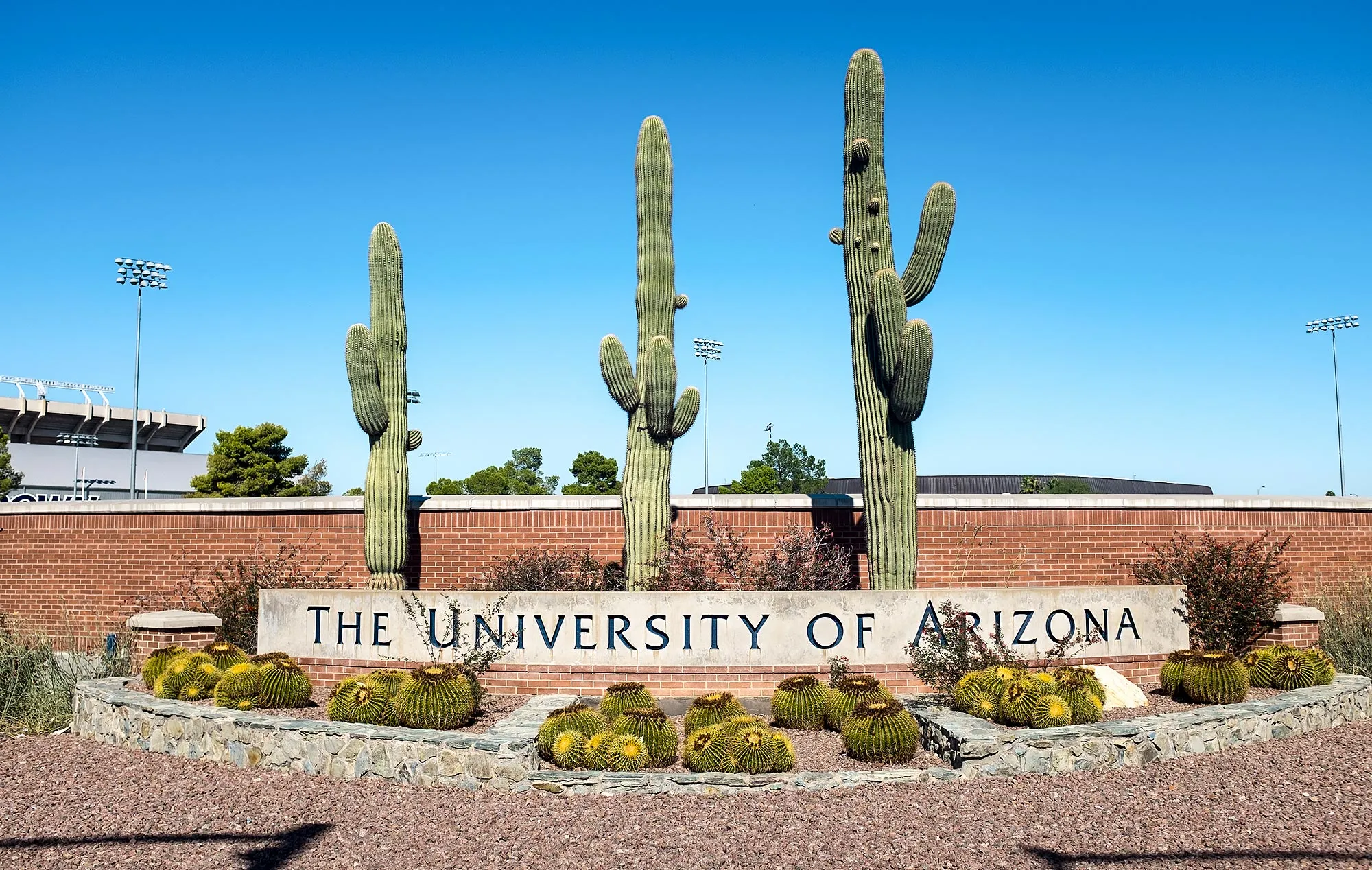 University of Arizona Apologies After Fk the Mormons Chant During Basketball Game Against BYU
