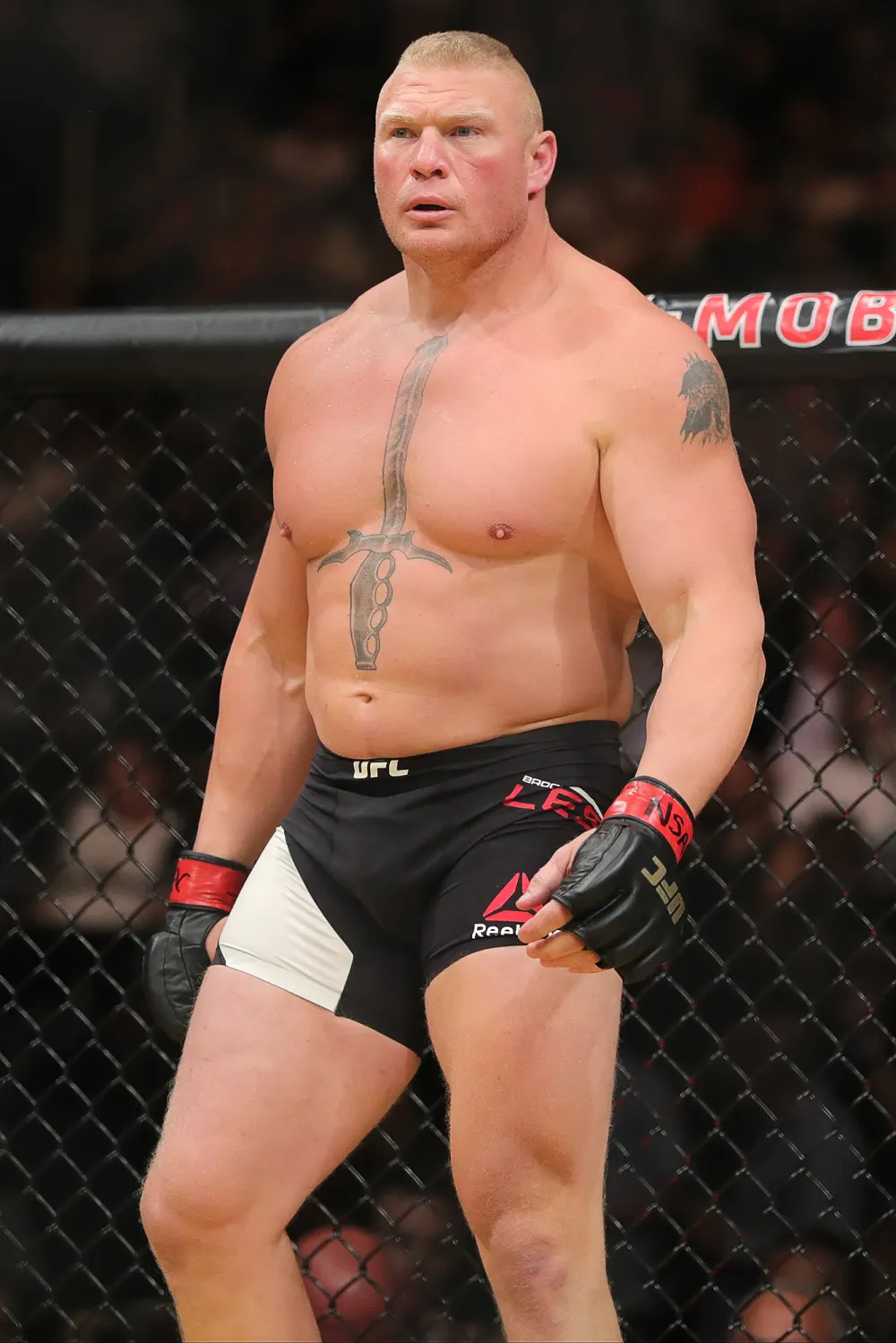 WWE Superstar Brock Lesnar Named in Updated Vince McMahon Sexual Abuse Lawsuit